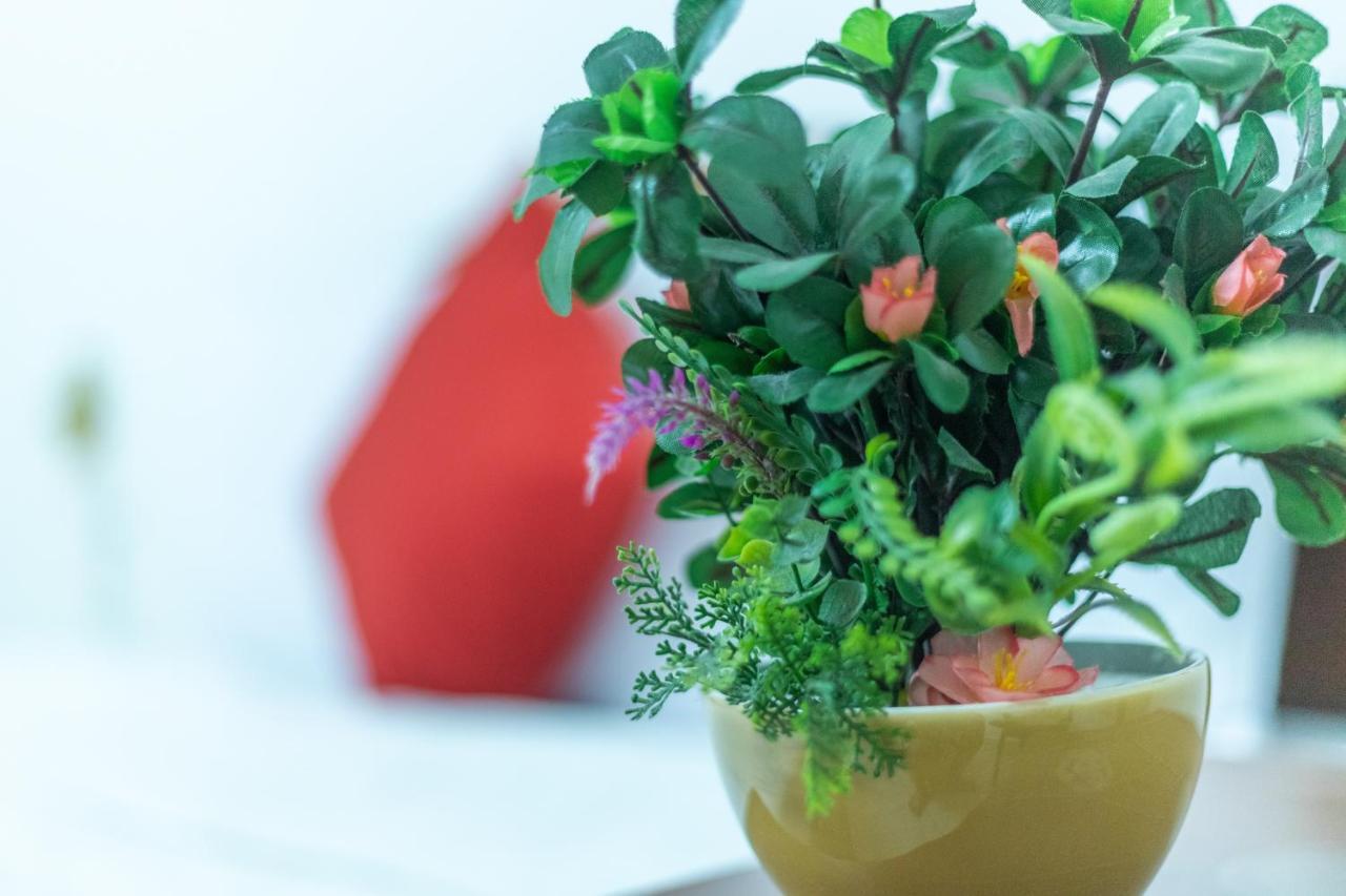 思达酒店 头顿 外观 照片